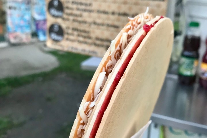 a hand holding a hot dog